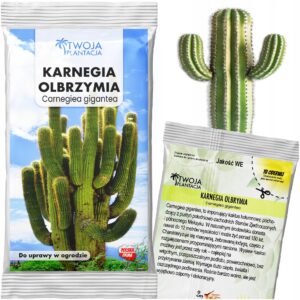 KARNEGIA OLBRZYMIA Nasiona Carnegiea gigantea kaktus mrozoodporny 10 nasion