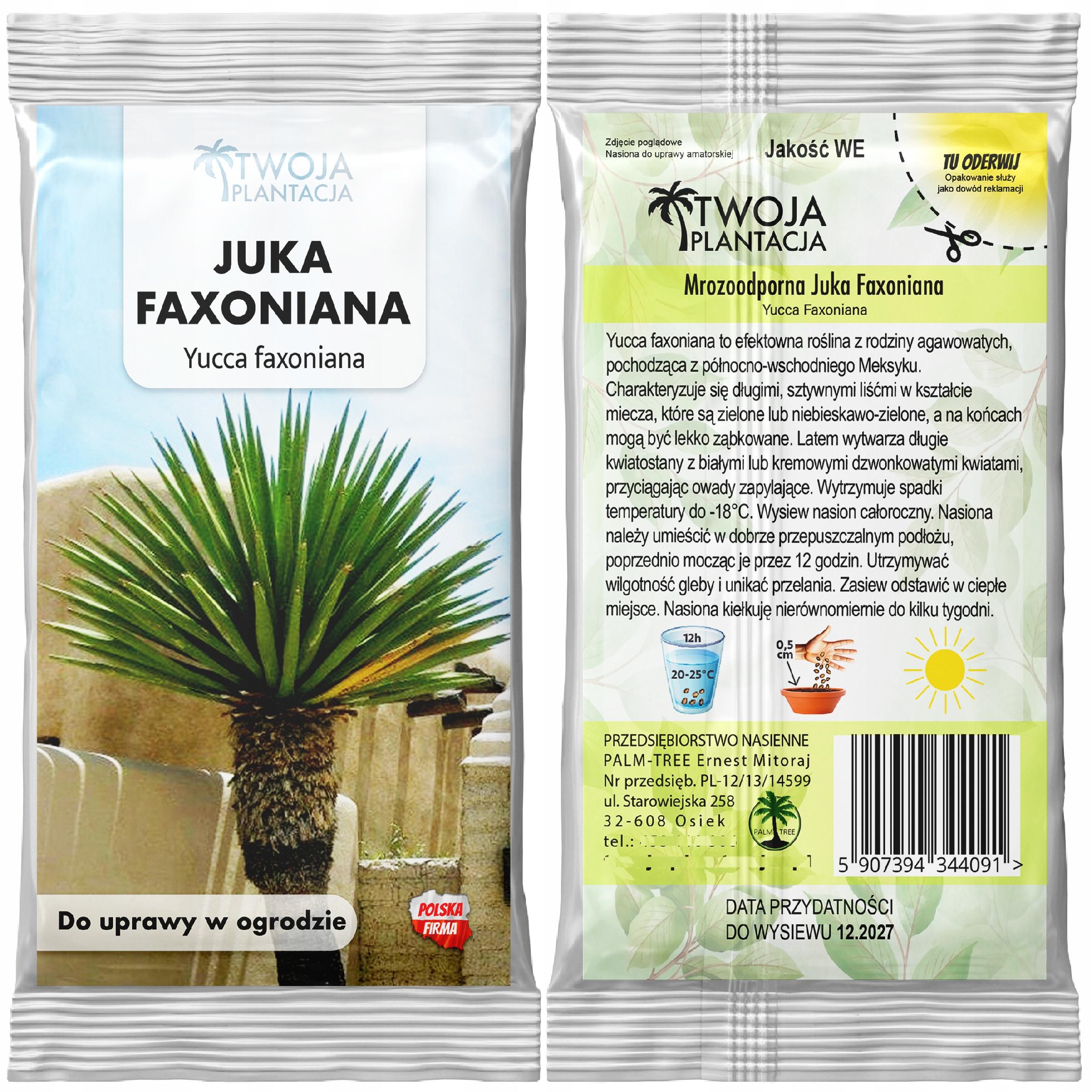 Mrozoodporna Juka YUCCA FAXONIANA Nasiona do ogrodu 5 nasion - obrazek 3