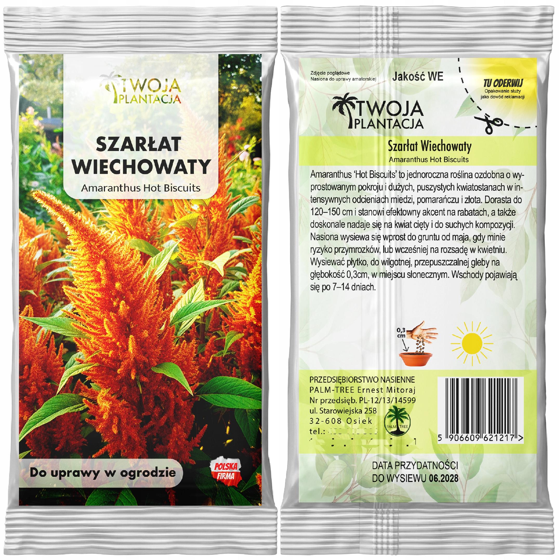 Szarłat Wiechowaty ZŁOTO BRĄZOWY Hot Biscuits Piękne Kwiaty NASIONA - obrazek 3