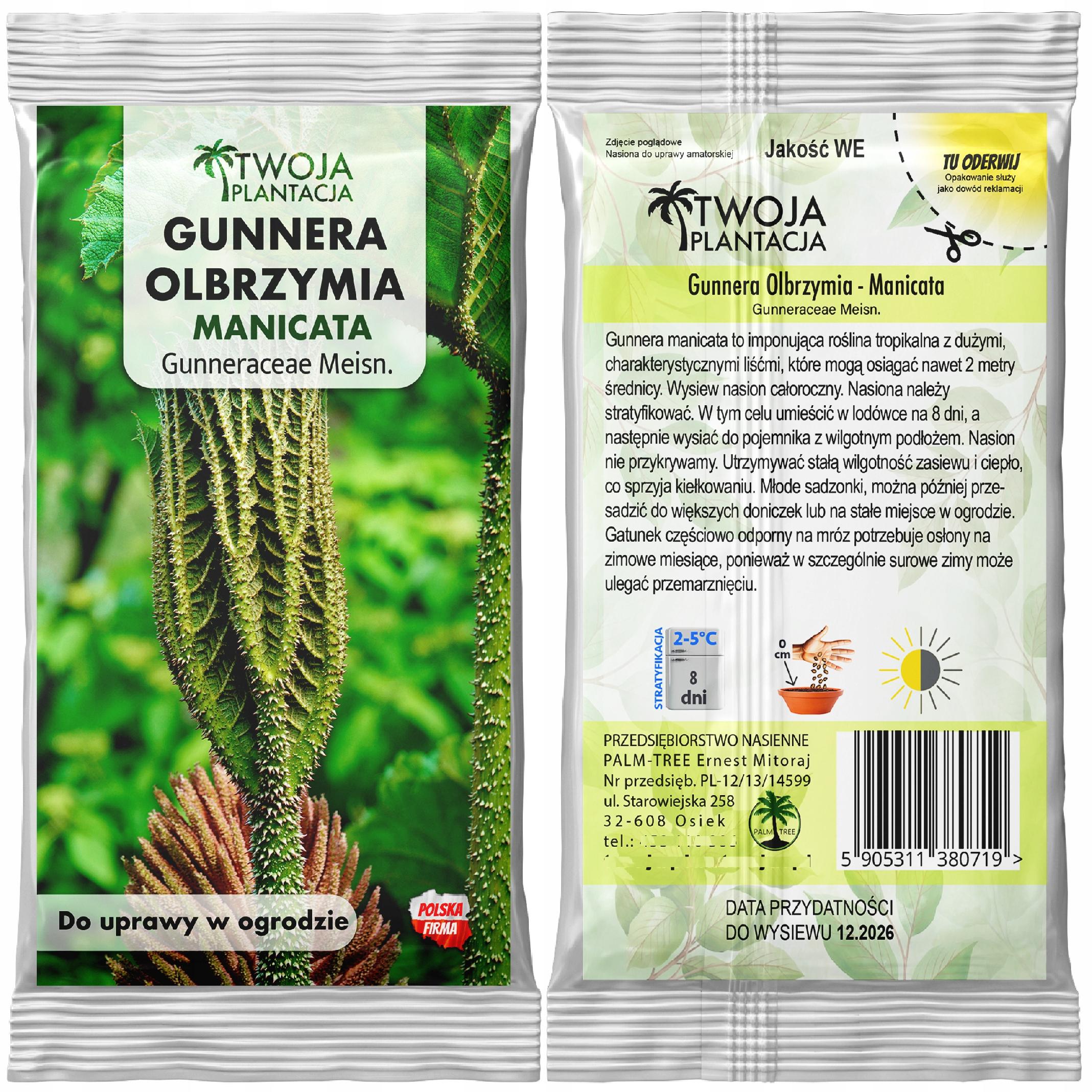 Gunnera olbrzymia NASIONA Gunnera Manicata do uprawy w ogrodzie 5 Nasion - obrazek 3