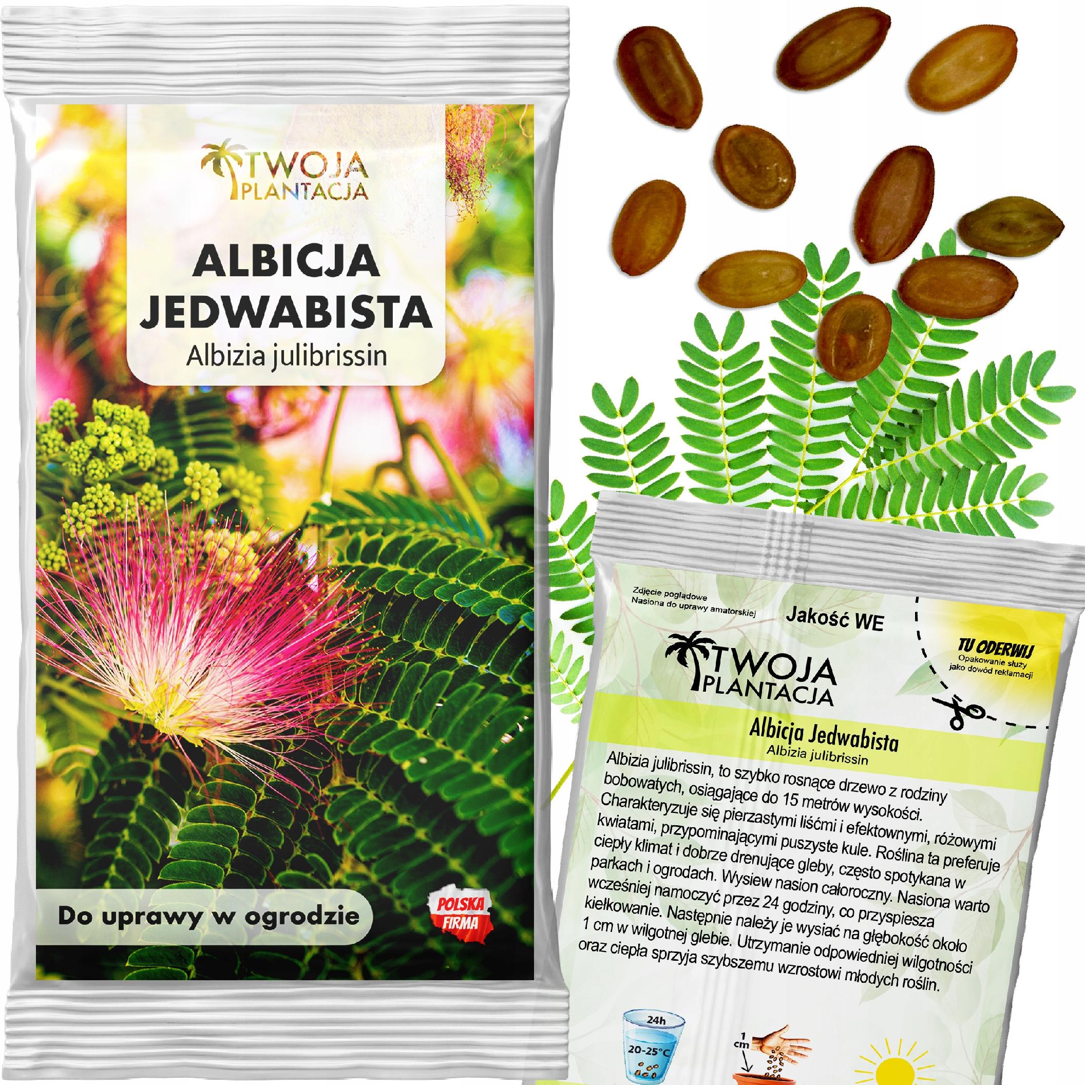 Albicja Jedwabista NASIONA na bonsai Perskie Drzewko Świeci w Nocy 10 sztuk