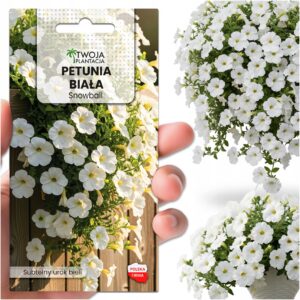 Petunia zwisająca BIAŁA - Snowball - surfinia na balkony i tarasy NASIONA