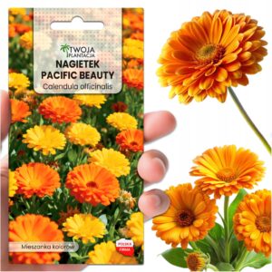 Nagietek Lekarski PACIFIC BEAUTY - Mix Nasiona Ziół Łąka kwietna do ogrodu
