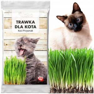 TRAWA DLA KOTA 30g Naturalna Zdrowa Bezpieczna Przekąska dla Twojego Pupila