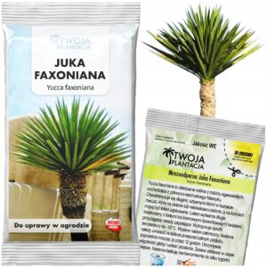 Mrozoodporna Juka YUCCA FAXONIANA Nasiona do ogrodu 5 nasion