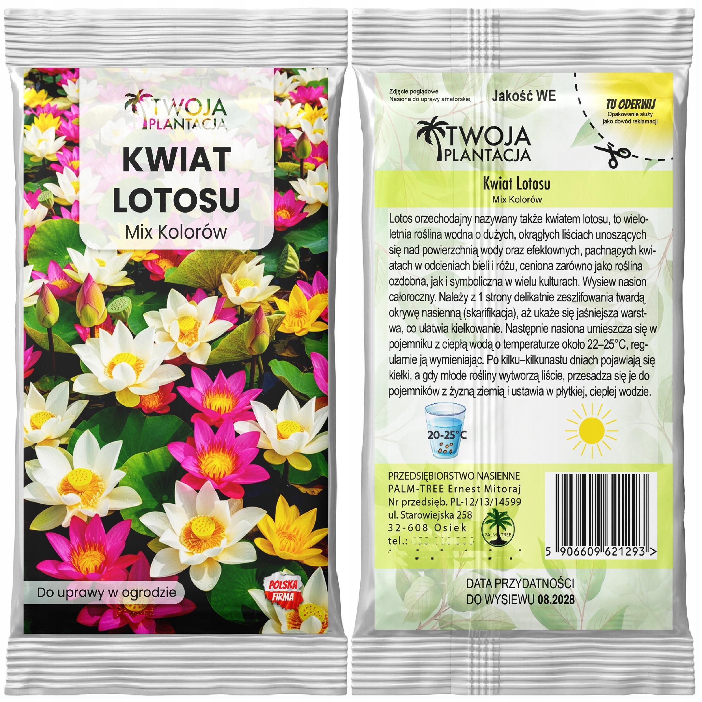 Kwiat Lotosu Lotos Orzechodajny Mix KOLOR Lilia wodna 5 szt. NASIONA - obrazek 2