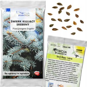 ŚWIERK SREBRNY Kłujący NASIONA NIEBIESKI Picea pungens Engeln 20 Nasion