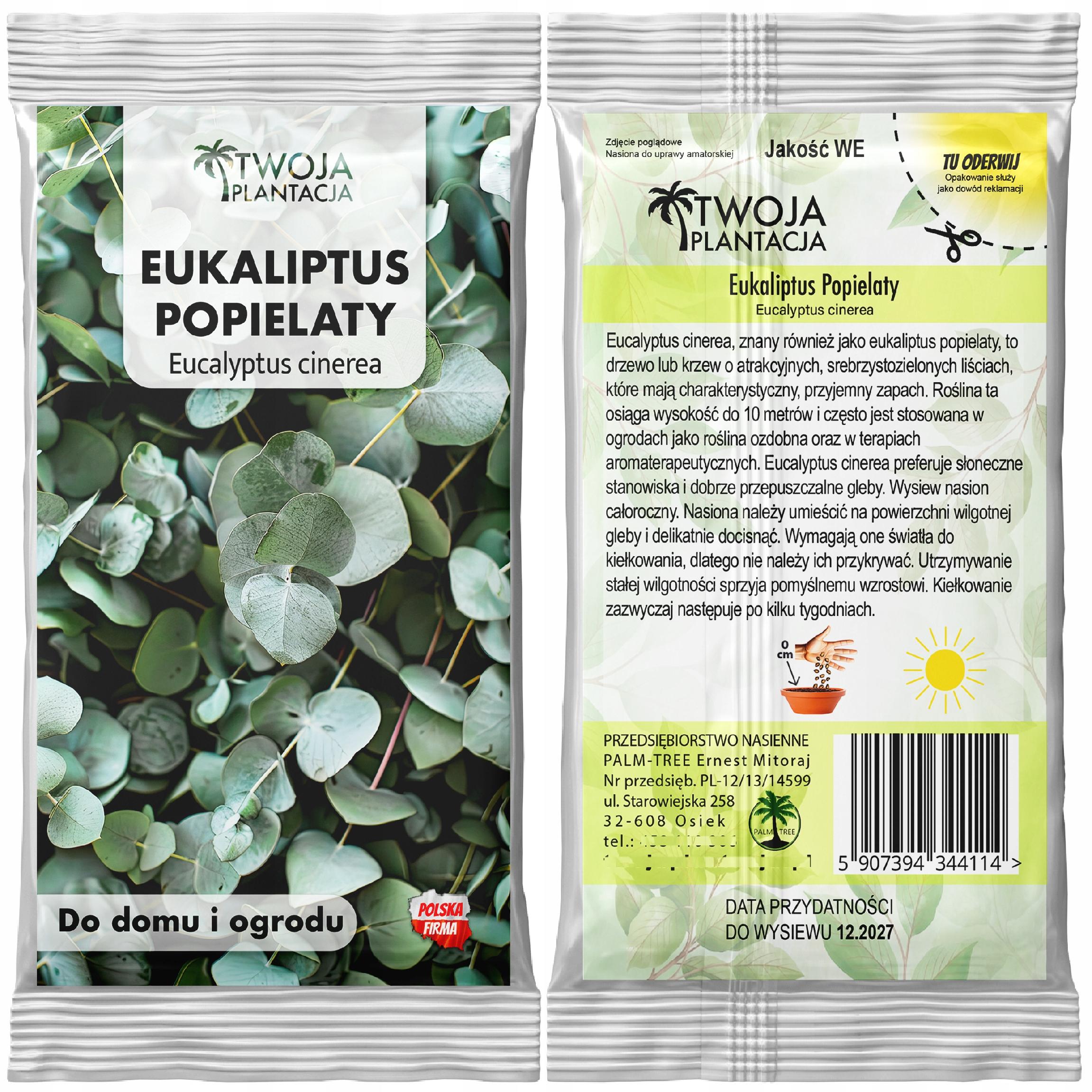 Nasiona Eukaliptusa Popielatego Eucalyptus Cinerea - 12 stopni Mrozoodporny - obrazek 2