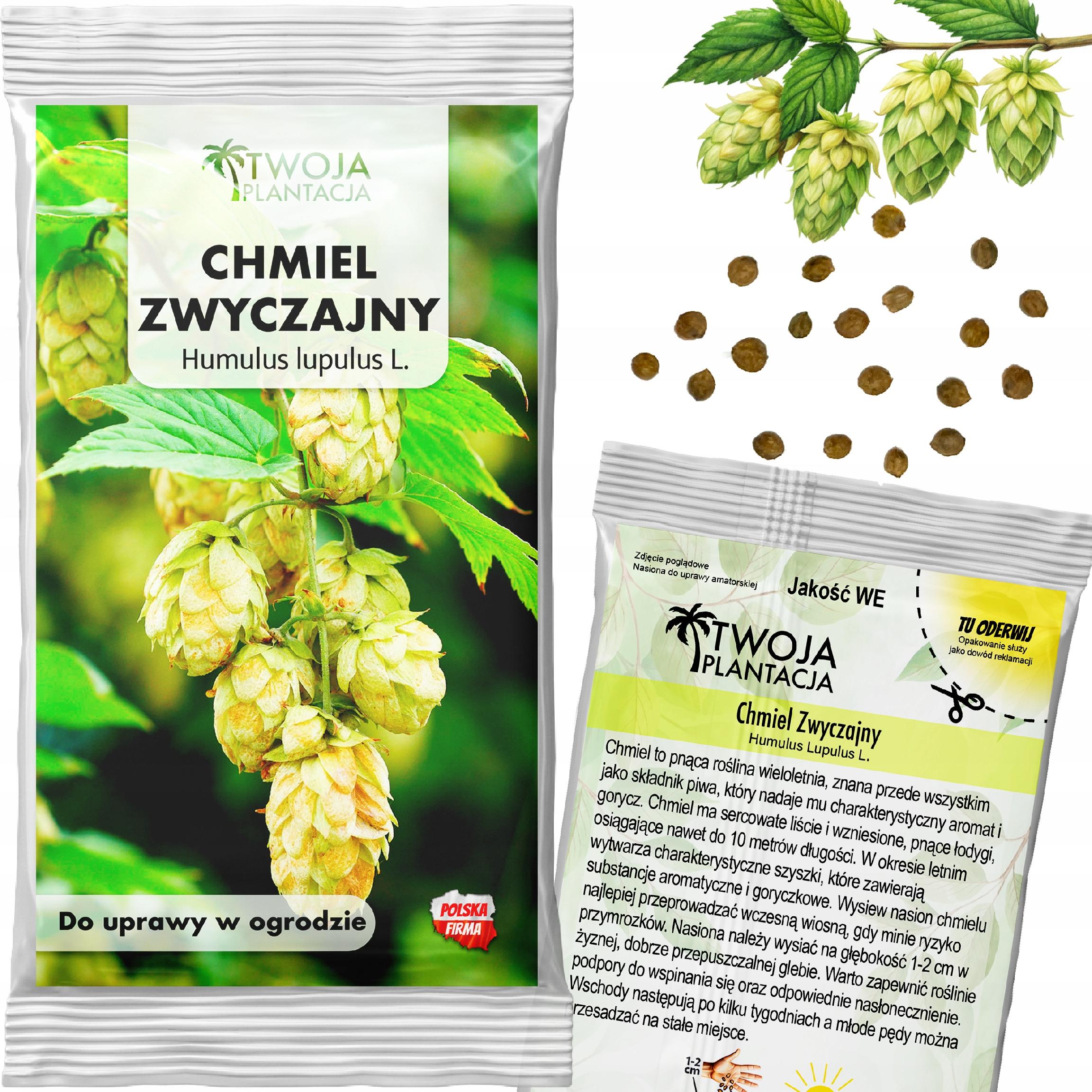 Chamiel Nasiona humulus lupulus Dzikie Warzywko do ogrodu 20 Nasion