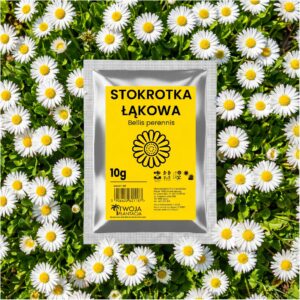 STOKROTKA ŁĄKOWA BIAŁA "Bellis perennis" TRAWNIKOWA NASIONA 10g PREMIUM