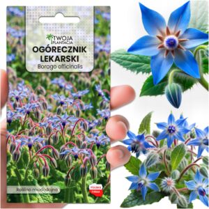 Ogórecznik lekarski - nasiona ziół na łąkę kwietną roślina miododajna 2g