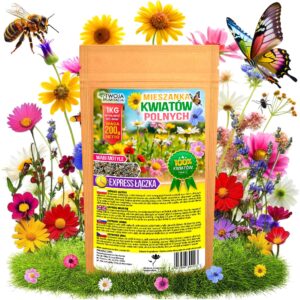 ŁĄKA KWIETNA NASIONA Express Łączka KWIATY POLNE ZIOŁA MiX KWIATÓW 200g
