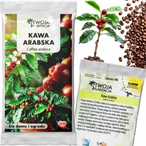 Kawa Arabska Nasiona Coffea Arabica Drzewko kawowe do domu 5 Nasion