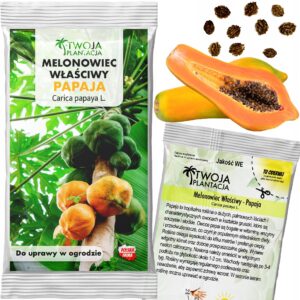 Papaja Nasiona Carica Papaya Melonowiec właściwy Duże Owoce 10 sztuk