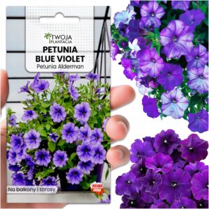 Petunia BLUE VIOLET ALDERMAN Nasiona Fioletowa Niebieska 900 szt. NASION