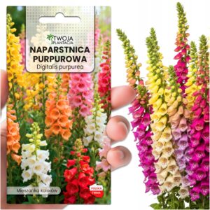 Naparstnica purpurowa - MIX kolorów, nasiona do ogrodu i na łąkę PREMIUM