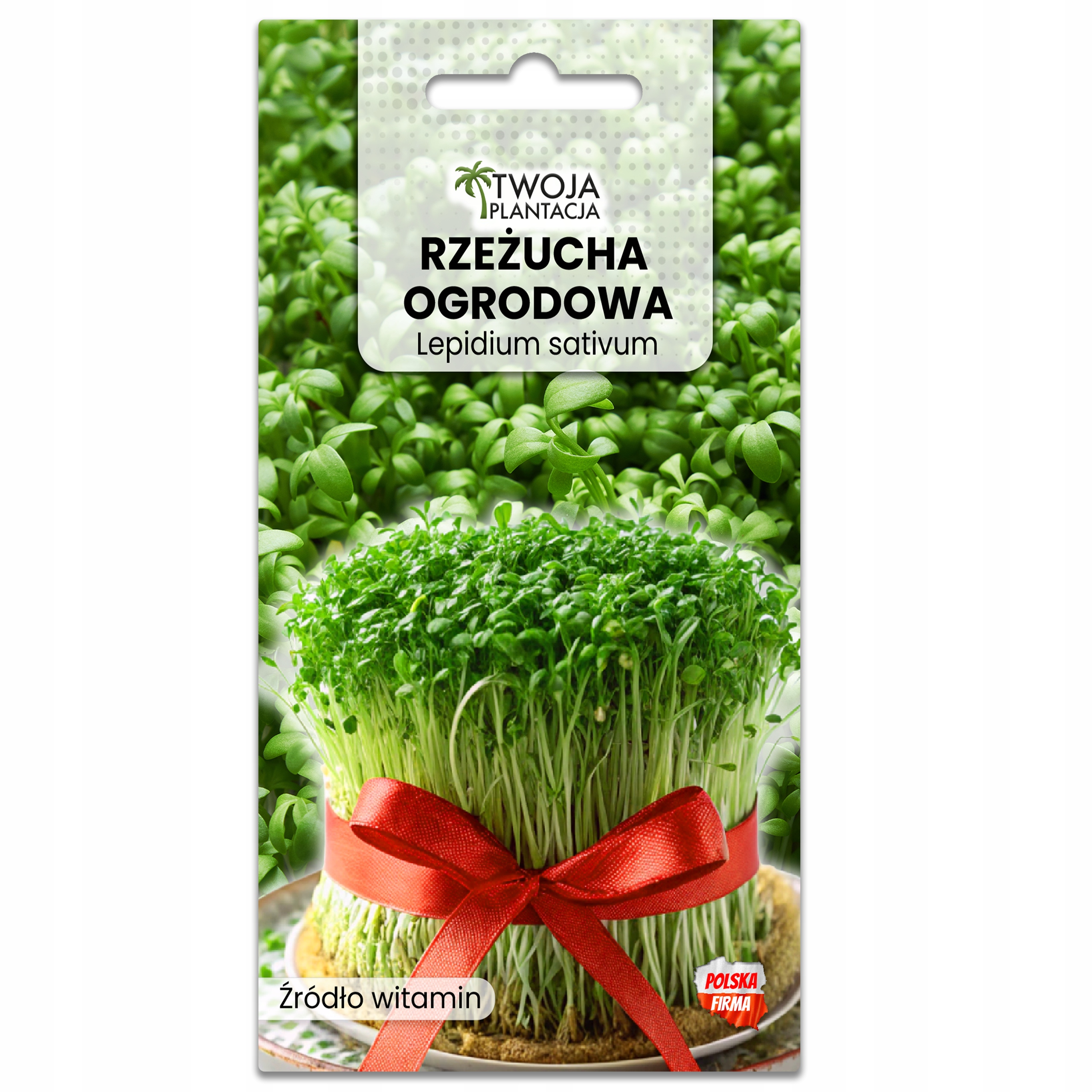 RZEŻUCHA OGRODOWA CAŁOROCZNA NASIONA NA KIEŁKI 10g - obrazek 2