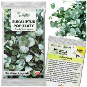 Nasiona Eukaliptusa Popielatego Eucalyptus Cinerea - 12 stopni Mrozoodporny