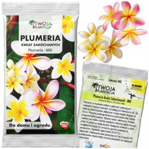 PLUMERIA NASIONA Kwiat zakochanych Mix Kwiaty Lei Pachnący Rubra Alba 2 szt