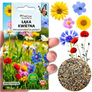 ŁĄKA KWIETNA NASIONA Express Łączka KWIATY POLNE ZIOŁA MiX KWIATÓW 20g