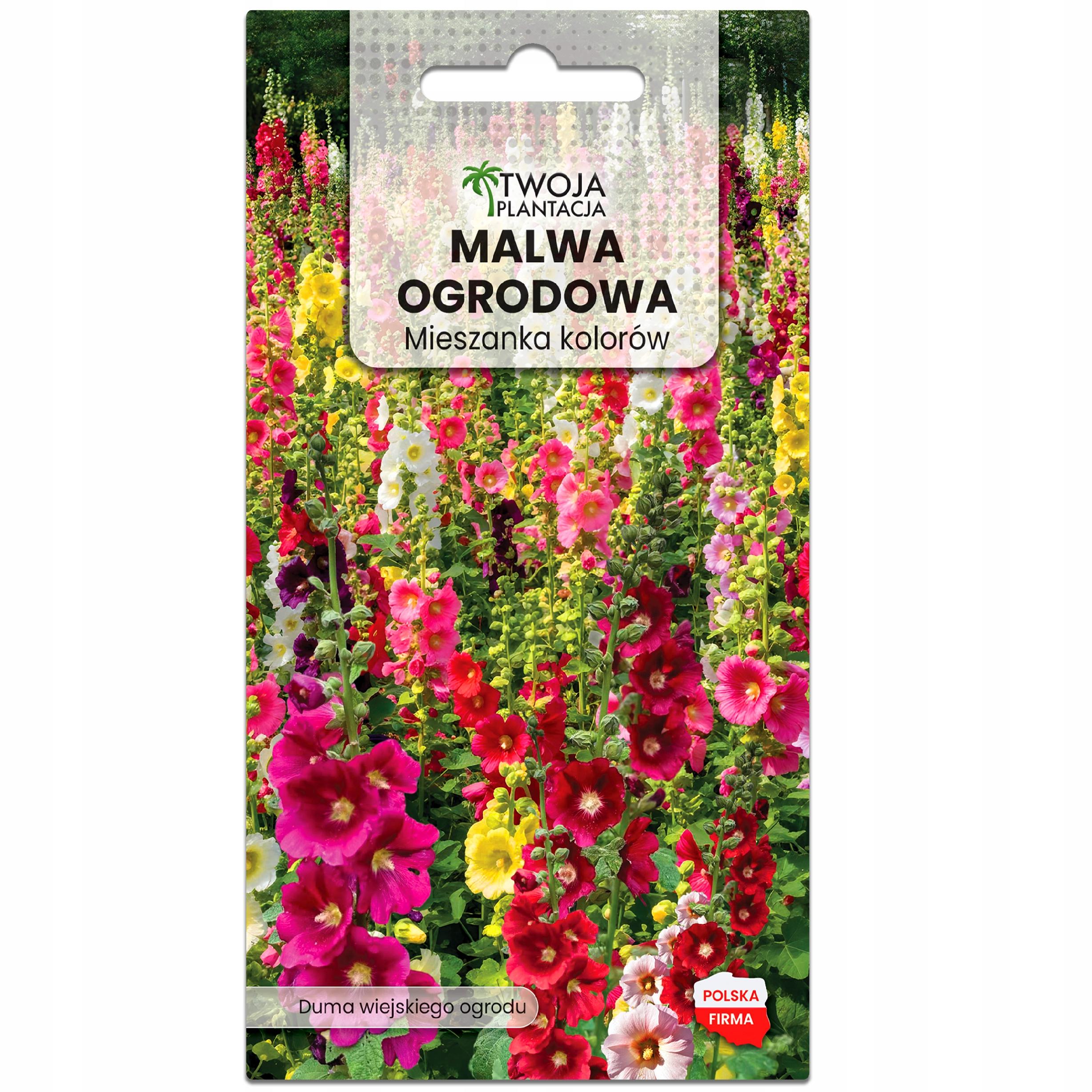 Malwa ogrodowa WYSOKA - mix kolorów, nasiona kwiatów ogrodowych PREMIUM - obrazek 2