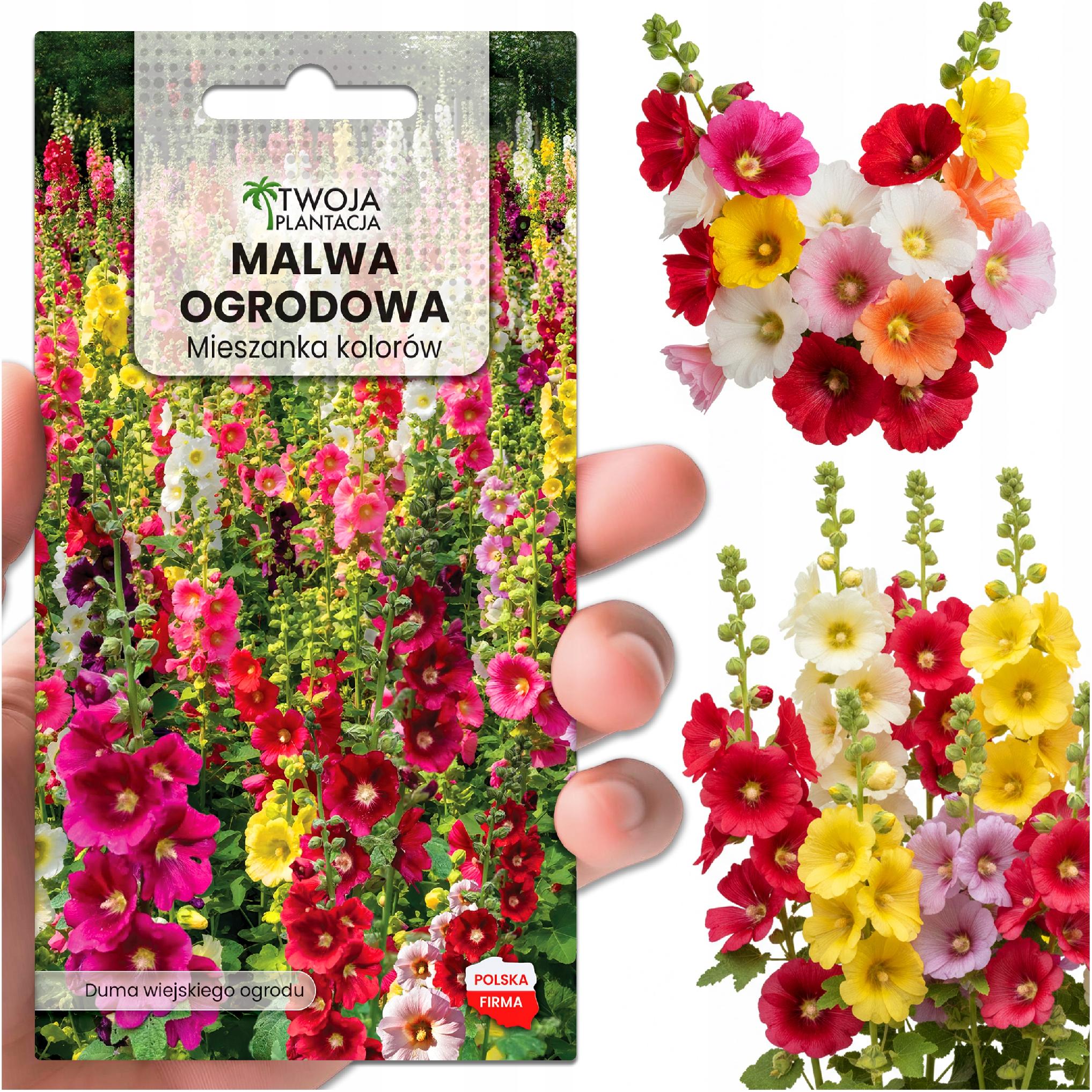 Malwa ogrodowa WYSOKA - mix kolorów, nasiona kwiatów ogrodowych PREMIUM
