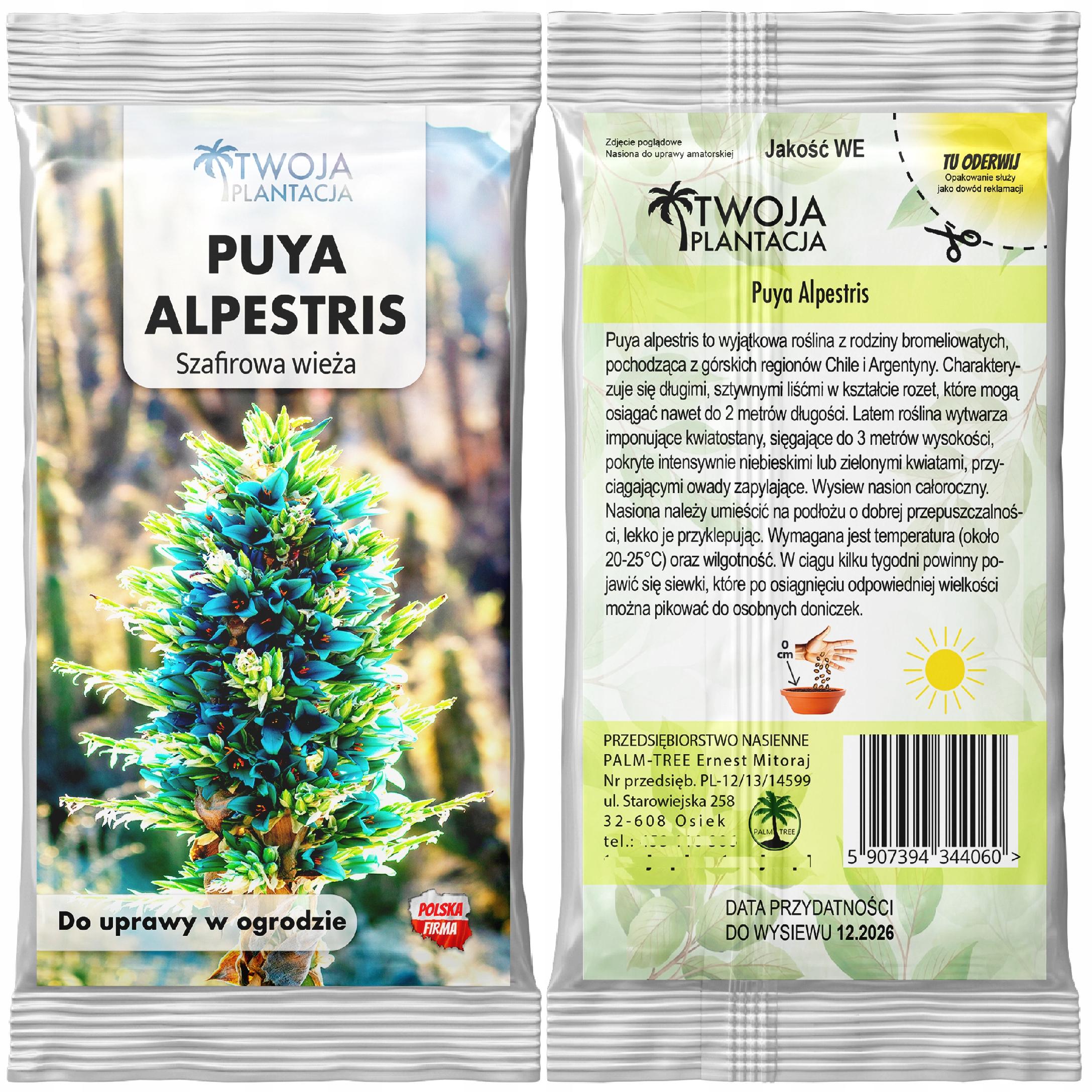 NASIONA PUYA ALPESTRIS Szafirowa Wieża Tower Piękna Turkusowa 5 NASION - obrazek 2