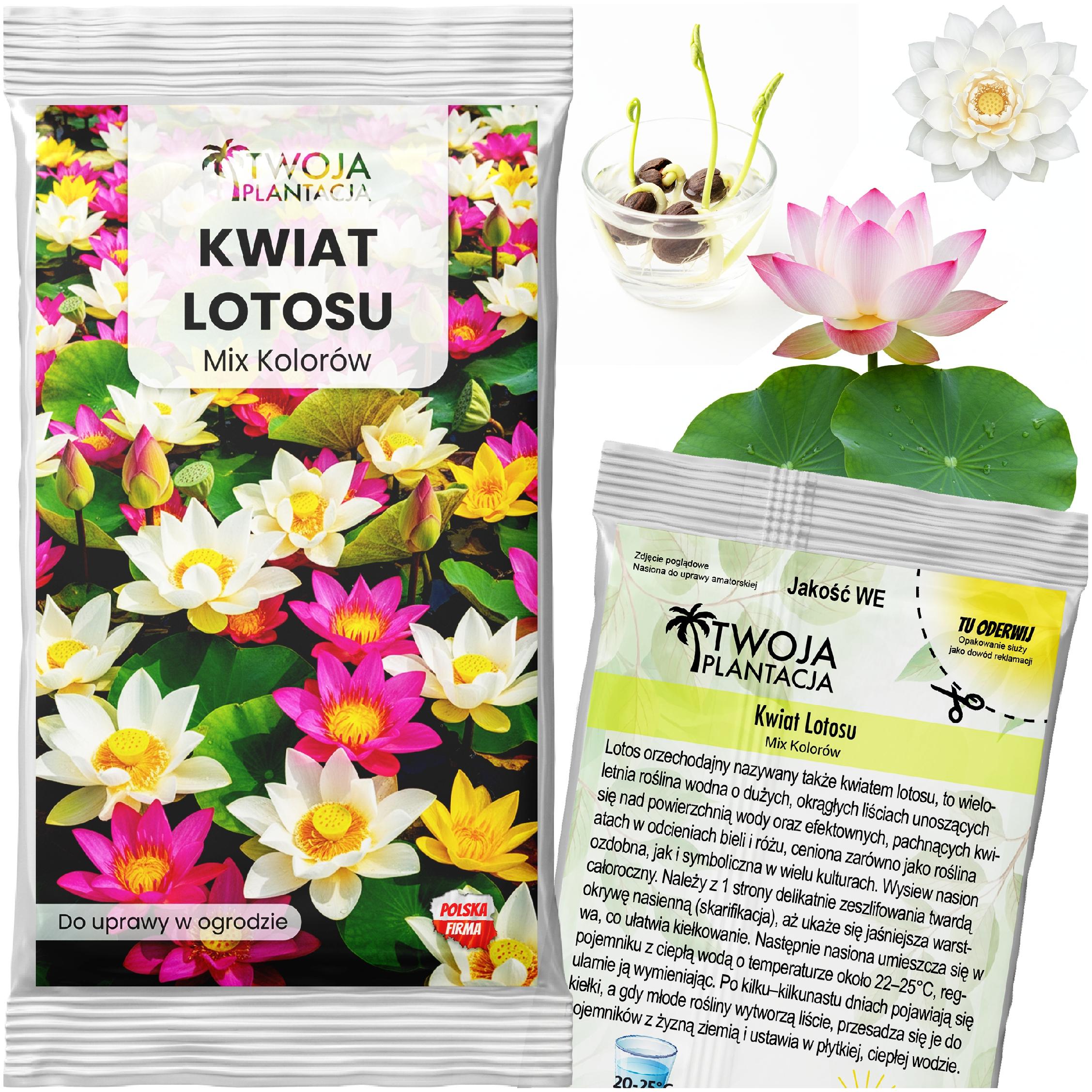 Kwiat Lotosu Lotos Orzechodajny Mix KOLOR Lilia wodna 5 szt. NASIONA