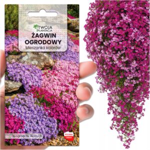 Żagwin ogrodowy - mieszanka kolorów DYWAN KWIATÓW Nasiona PREMIUM