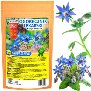 OGÓRECZNIK LEKARSKI NASIONA Miododajne do siewu POLSKIE Jakość WE 500g