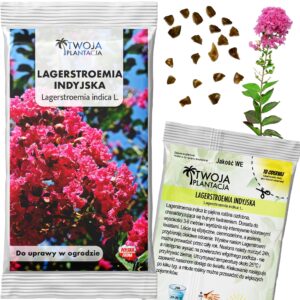 Lagerstroemia indica Nasiona Przepiękne różowe drzewko 20 nasion