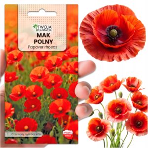 Mak polny CZERWONY - Nasiona kwiatów polnych na łąkę kwietną i do ogrodu