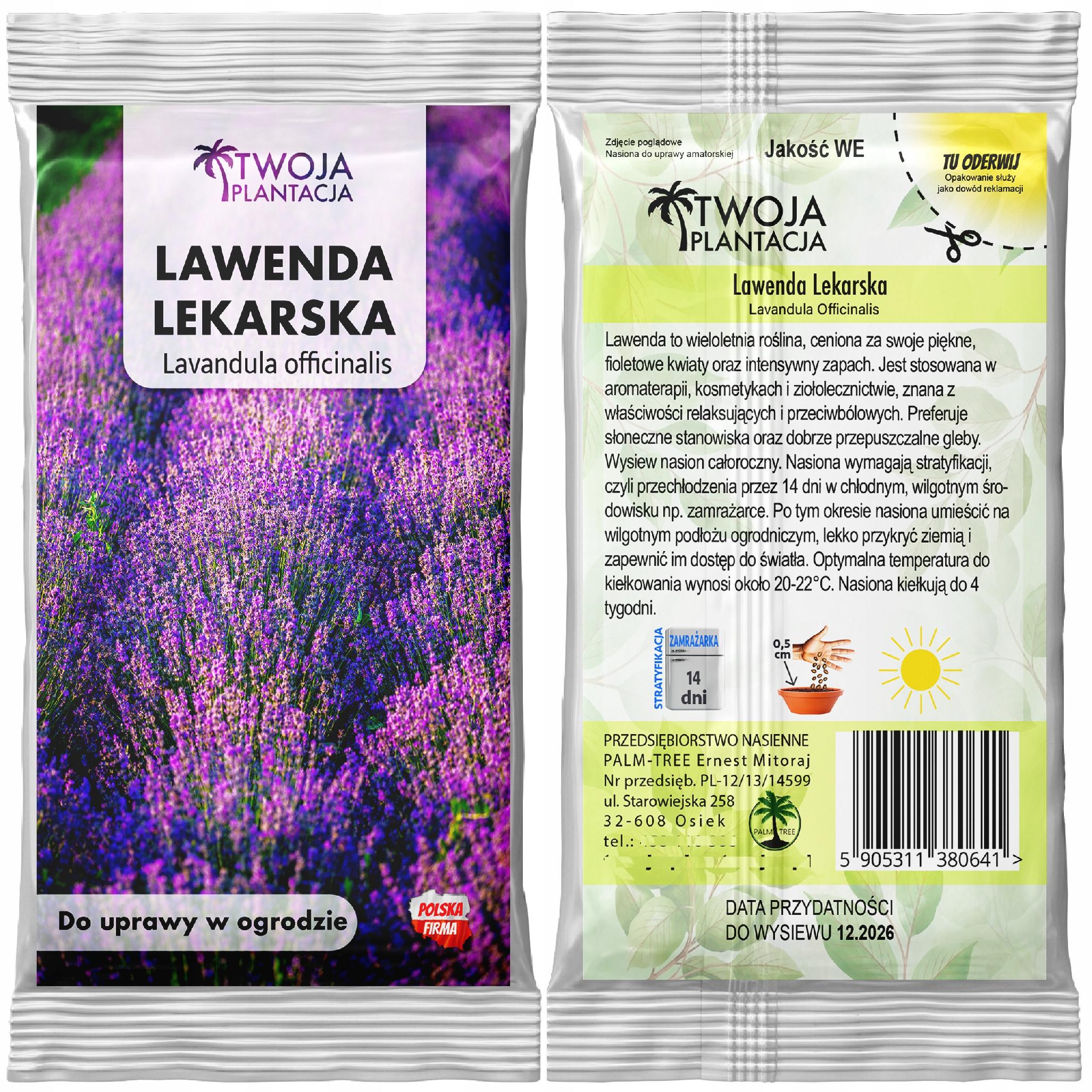 Lawenda Wąskolistna Nasiona Mrozoodporna Lekarska Zioła Pachnąca 200 Nasion - obrazek 3