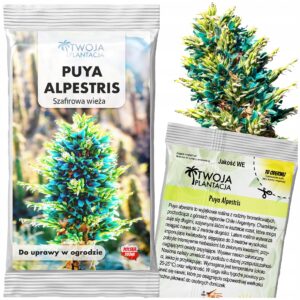 NASIONA PUYA ALPESTRIS Szafirowa Wieża Tower Piękna Turkusowa 5 NASION