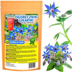 OGÓRECZNIK LEKARSKI NASIONA Miododajne do siewu POLSKIE Jakość WE 1000g 1KG