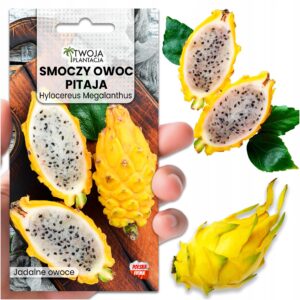 PITAJA ŻÓŁTA Kaktus Jadane owoce SMOCZY OWOC Egzotyczna Roślina NASIONA