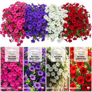 Petunia zwisająca - ZESTAW 4 ODMIAN surfinia MIX kolorów - NASIONA XXL