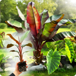 cd7183163ffbf08e21d50547abbbbb97