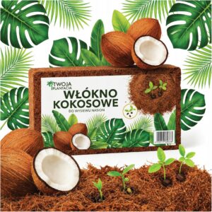 bed53130e45aaec117936cbff342f171